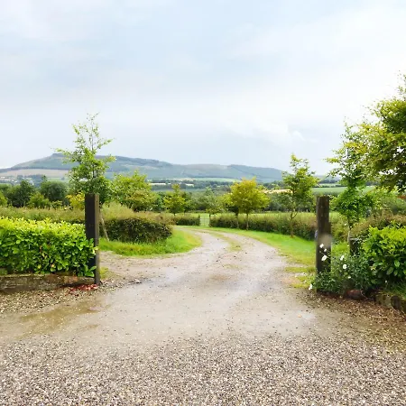 Daffodill Tinahealy Holiday home *